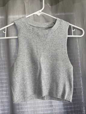 aerie Gray Ribbed Cropped Tank